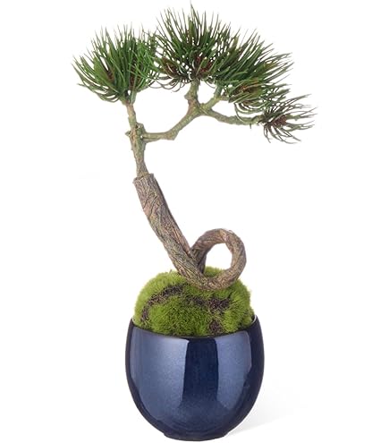 Amazon｜CUPBON 苔盆 ゆらぎ 盆栽 フェイクグリーン カップボン｜人工